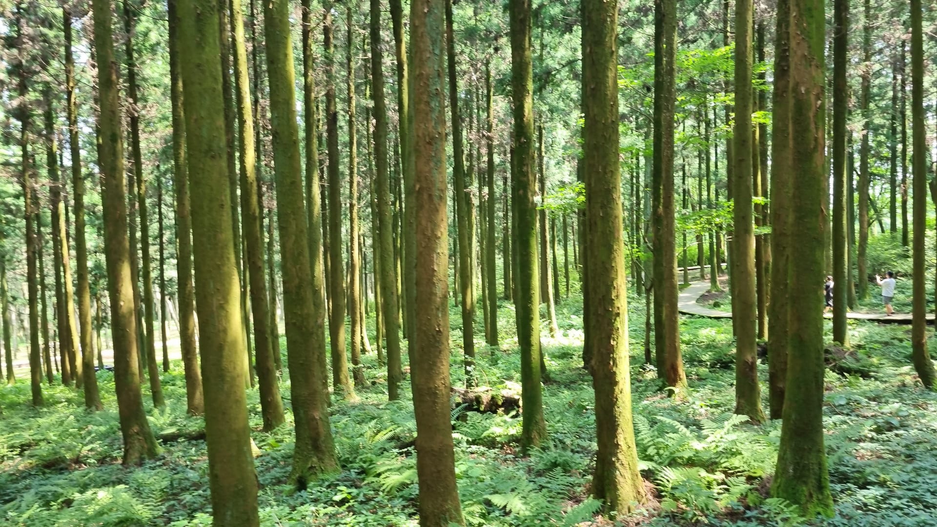 여름휴가 9일차