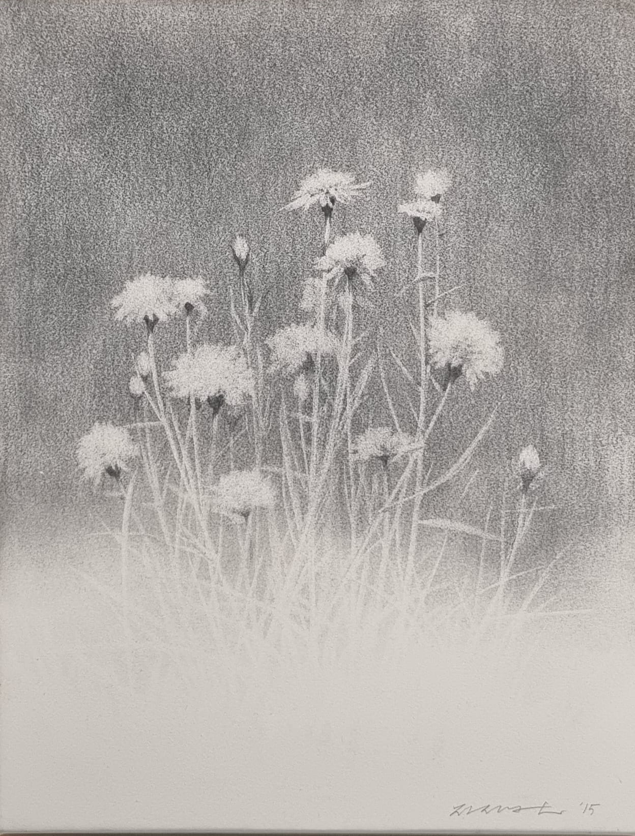 파네시마 전시(조상근 작가)