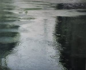 Rain-Echo of inner sound (전성호 작가)