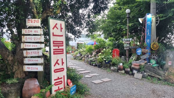 여름휴가 8일차