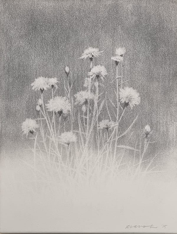 파네시마 전시(조상근 작가)