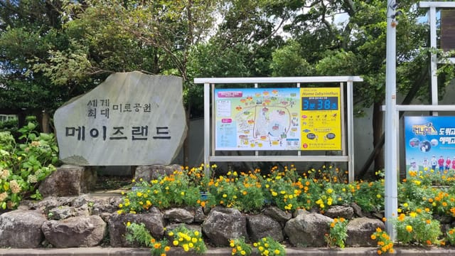 여름휴가 6일차