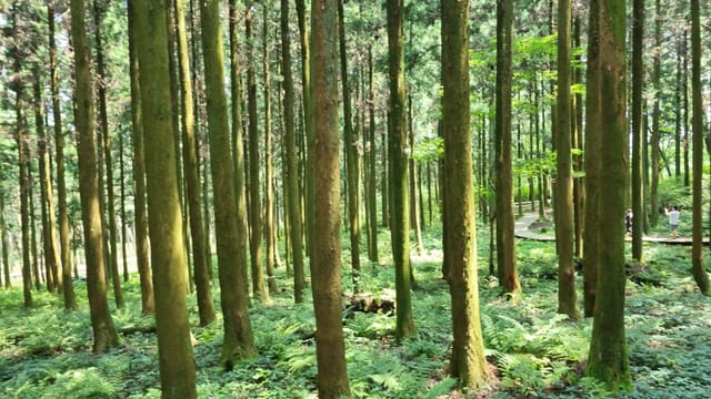 여름휴가 9일차