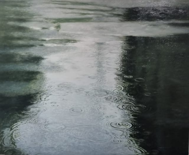 Rain-Echo of inner sound (전성호 작가)